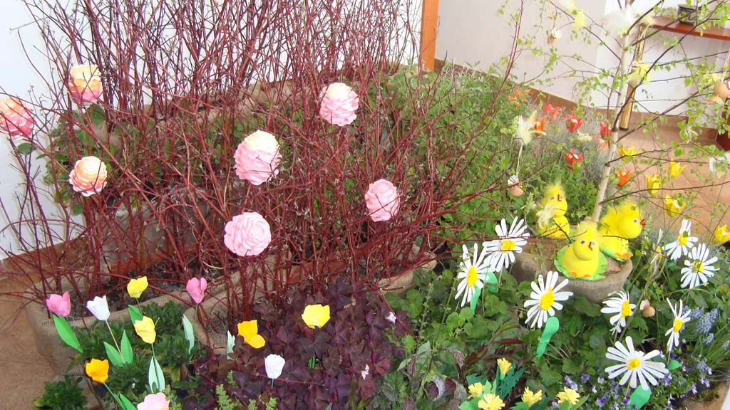 dsc01394.jpg