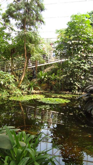 dsc01396.jpg