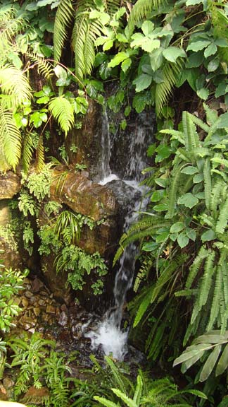 dsc01397.jpg