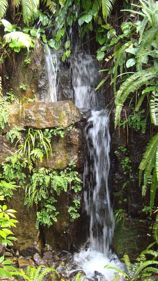 dsc01401.jpg