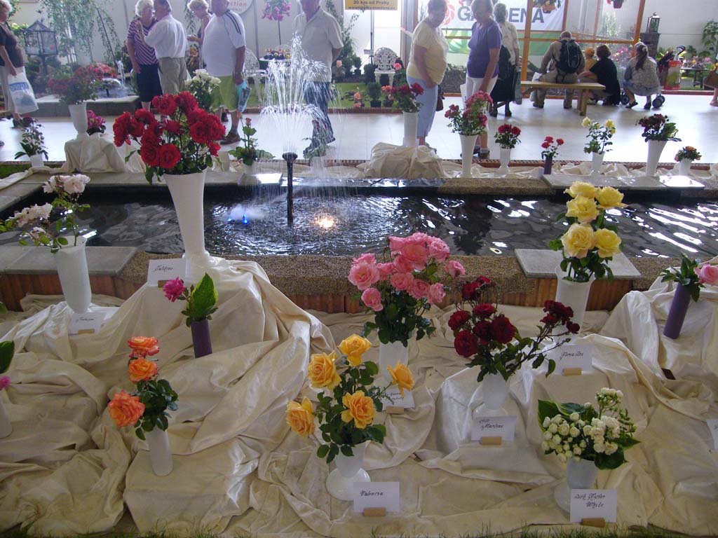 dscf5185.jpg