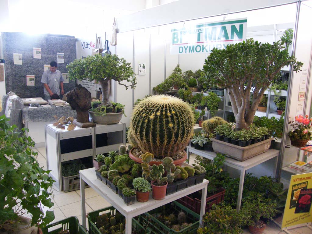 dscf5186.jpg
