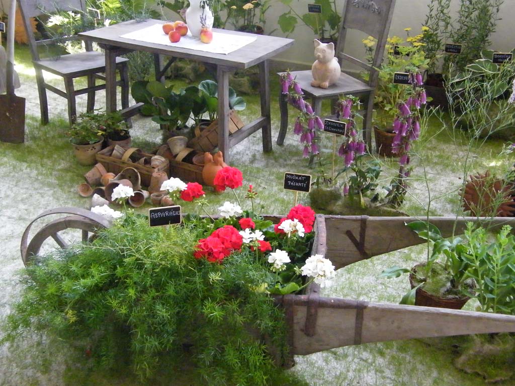 dscf5189.jpg