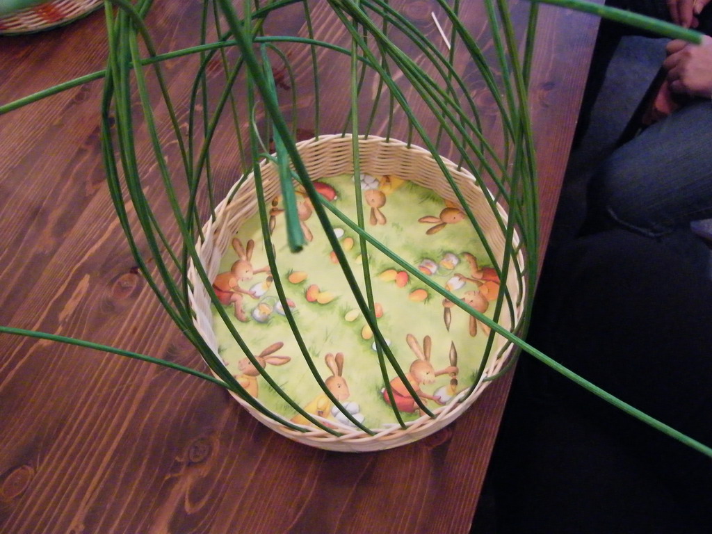 dscf2123.jpg