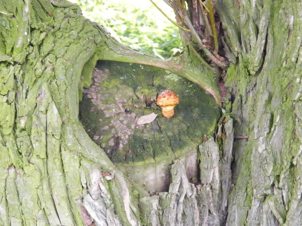 dscf6144.jpg