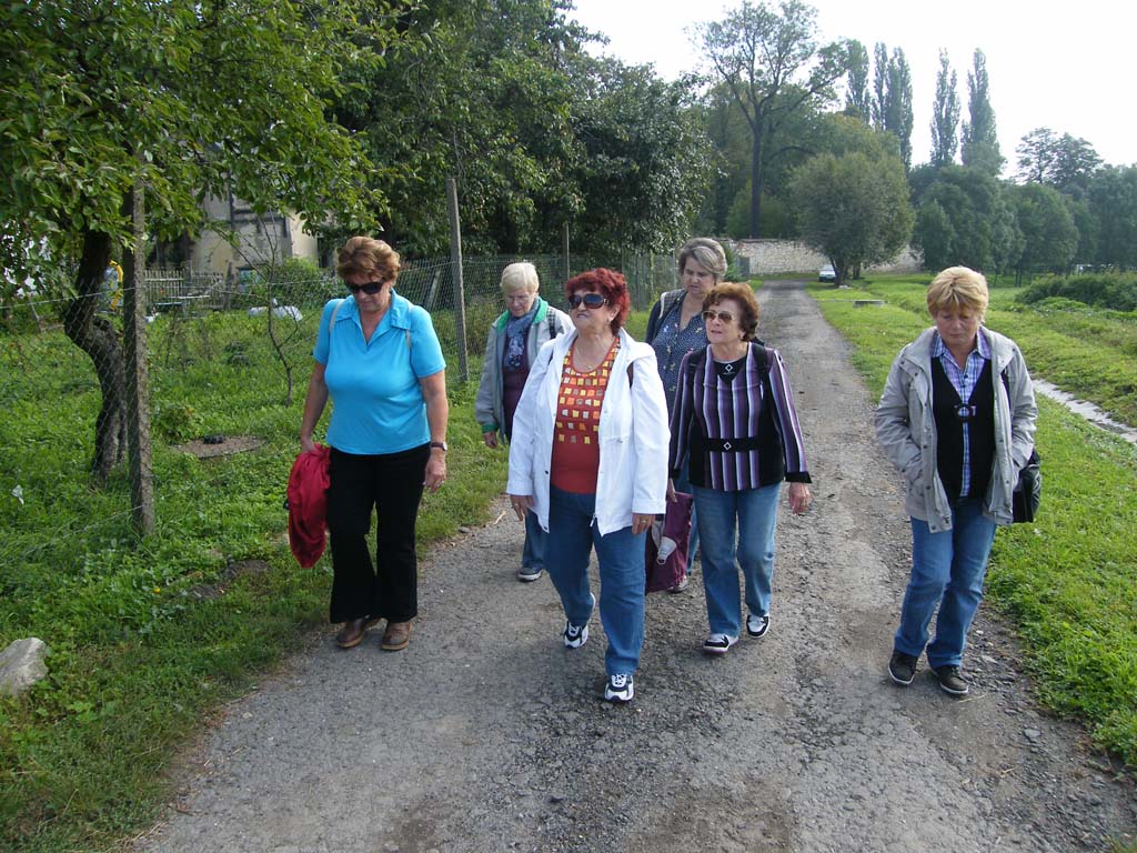 dscf6148.jpg
