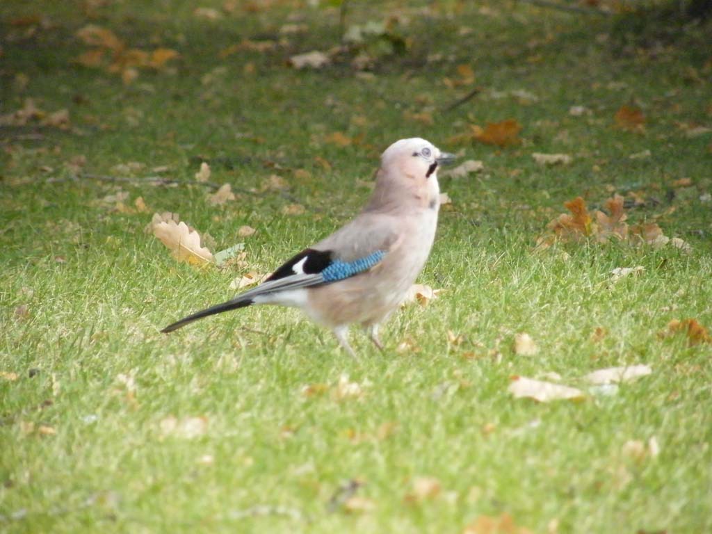 dscf6419.jpg