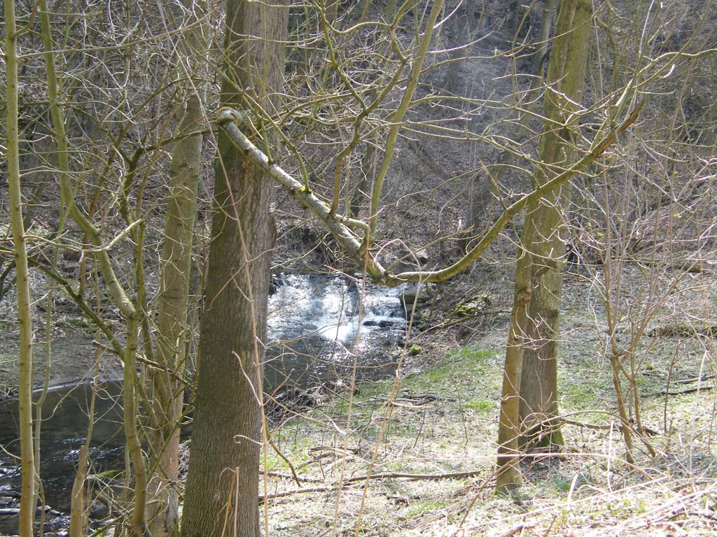 dscf4482.jpg