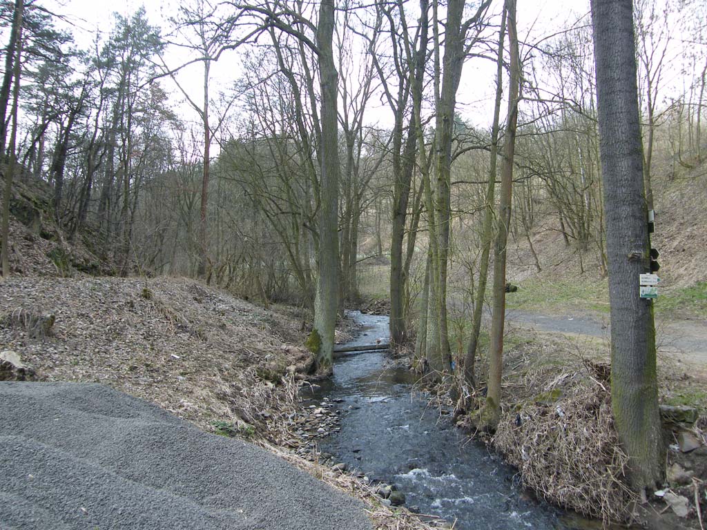 dscf4484.jpg